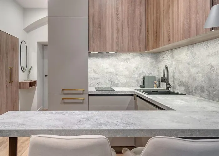 Domillion 5bdr Modern Urban Fourplex So1f וילנה