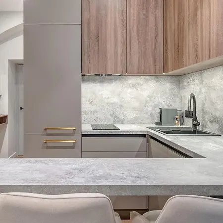 Domillion 5bdr Modern Urban Fourplex So1f Vilnius